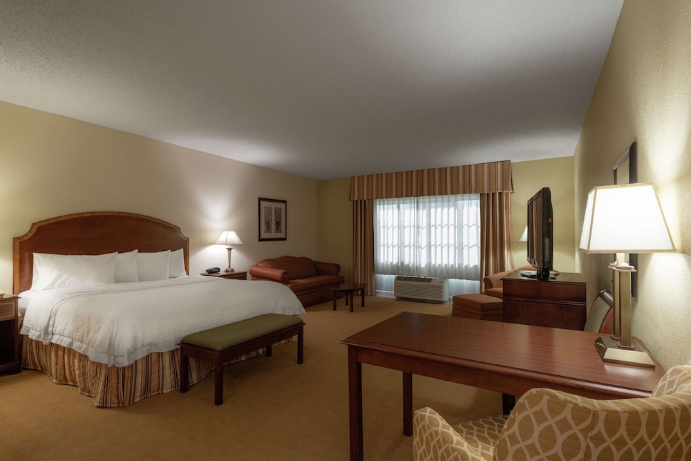 Suite, 1 King Bed, Non Smoking photo 3