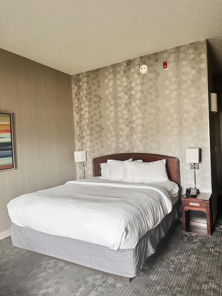 Suite, 1 King Bed, Accessible, Non Smoking - Photo 2
