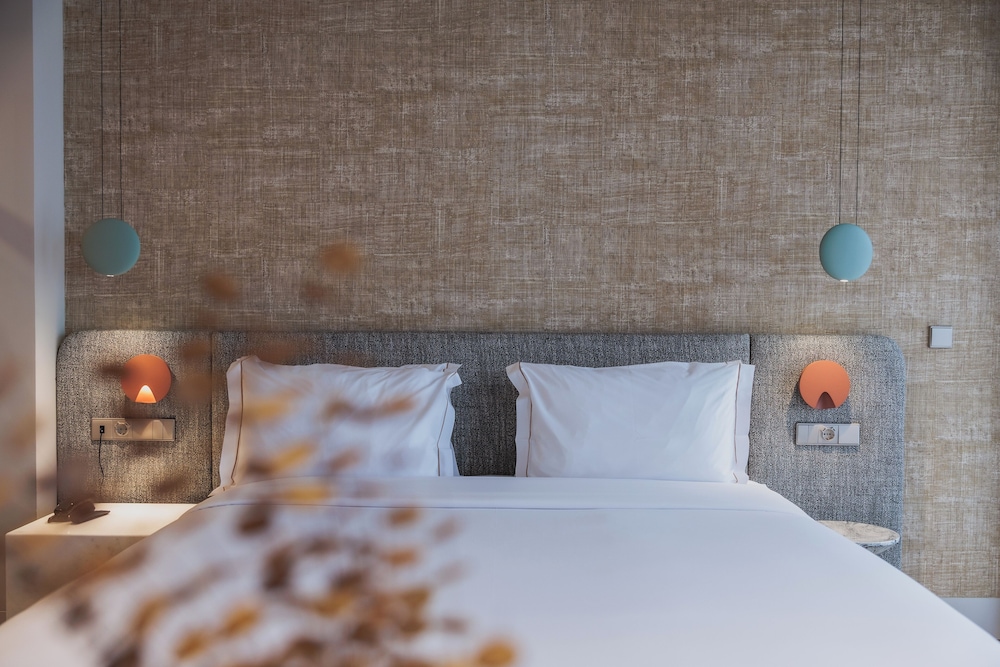 Suite - Photo 1