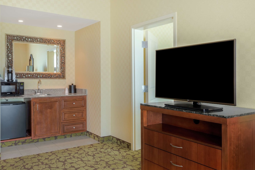 Suite, 1 King Bed - Photo 3