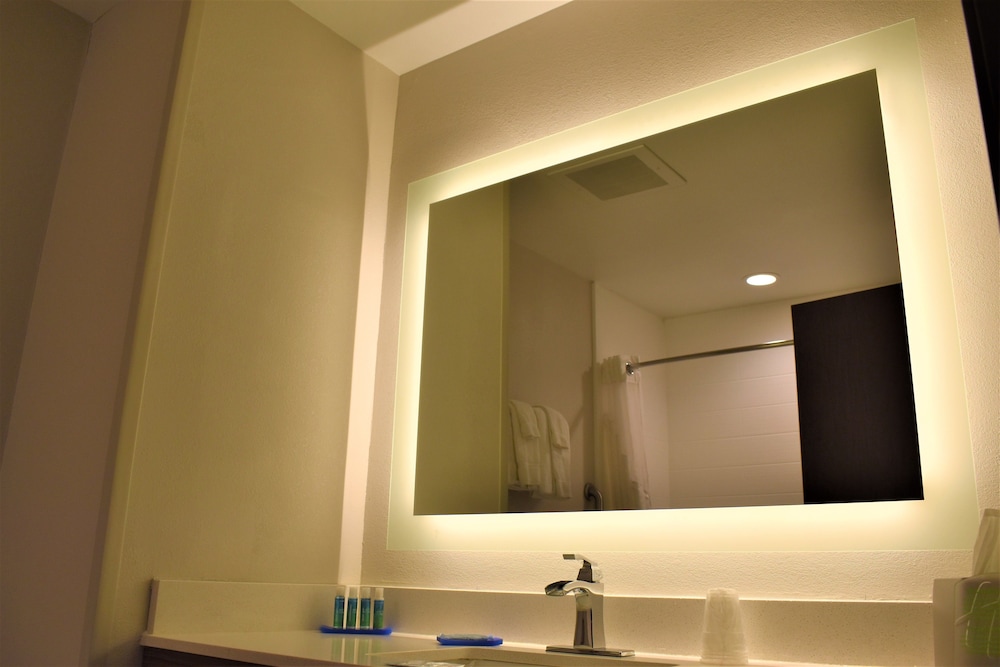 Standard Room, 1 King Bed, Accessible (Communications Accessible) - Photo 13