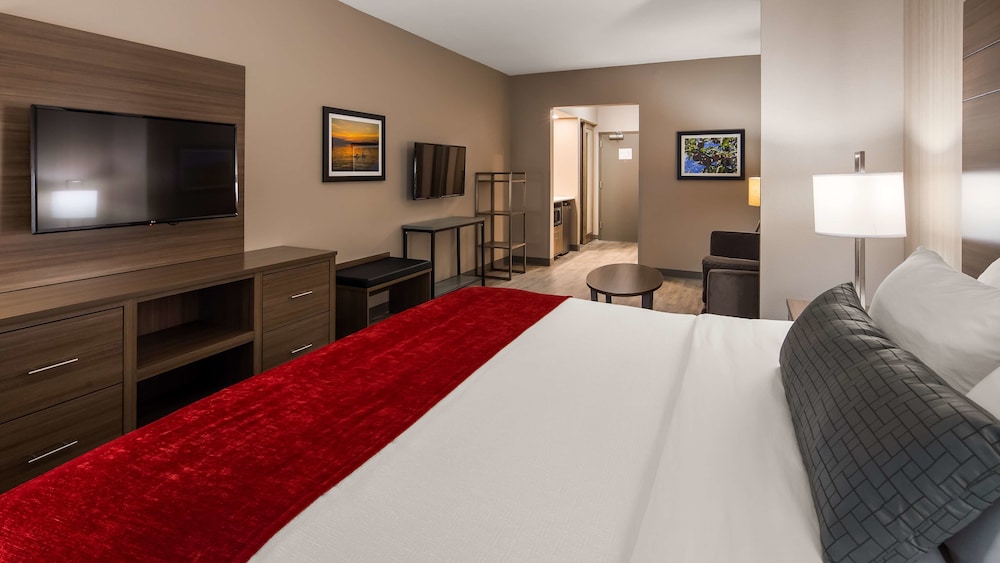 Suite, 1 King Bed, Non Smoking, Refrigerator & Microwave (Walk-in Shower;with Sofabed) - Photo 1