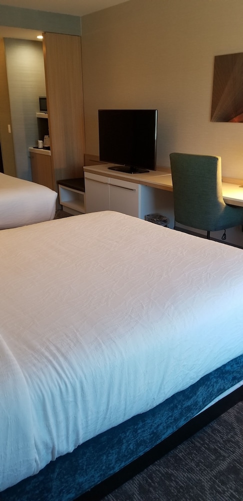 Hilton Garden Inn Colorado Springs Downtown, Co, Φωτογραφία 8