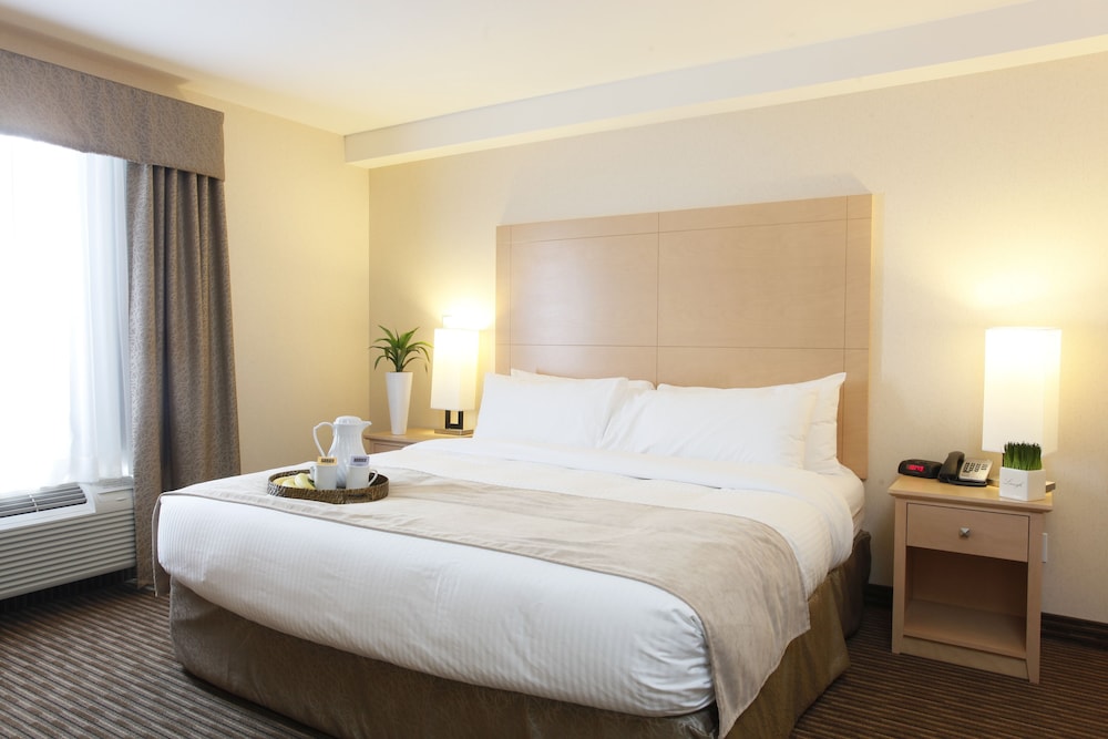 King Suite with Sofa Bed photo 1