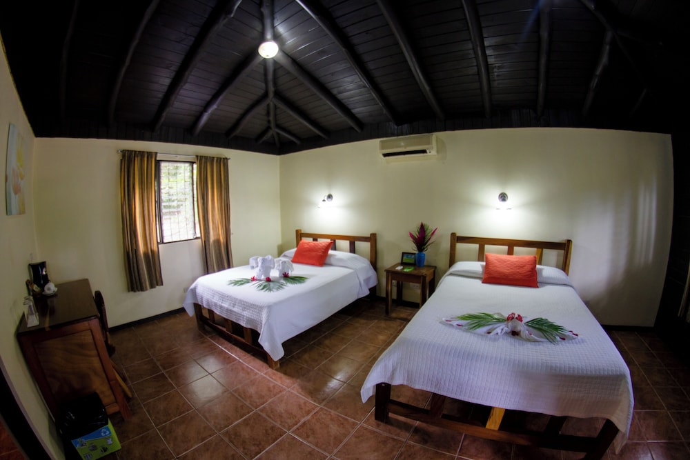 Superior Double Room, 2 Double Beds photo 1