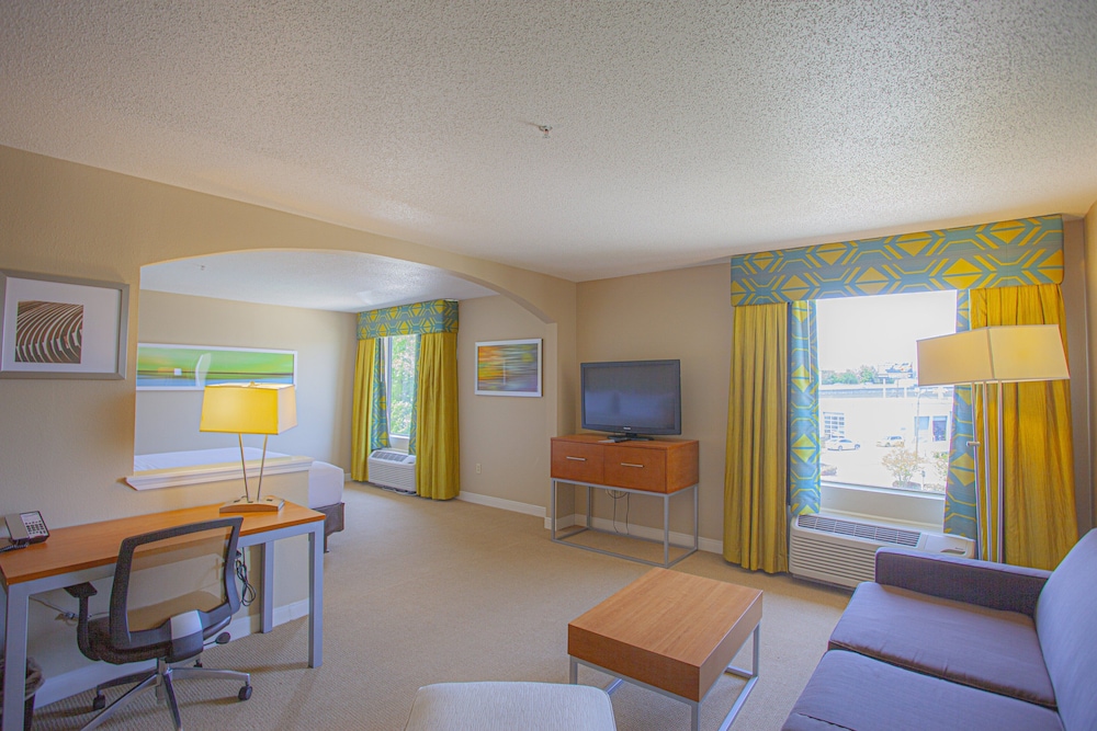 Suite, 1 King Bed - Photo 4
