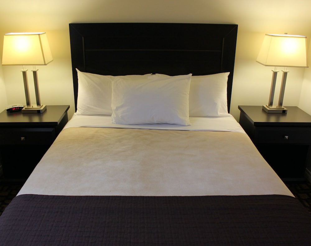 Basic Room, 1 Queen Bed, Ground Floor photo 1