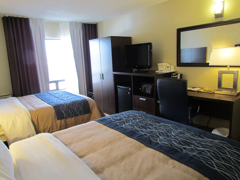 Comfort Care, Double Room, 2 Double Beds, Non Smoking - Photo 2