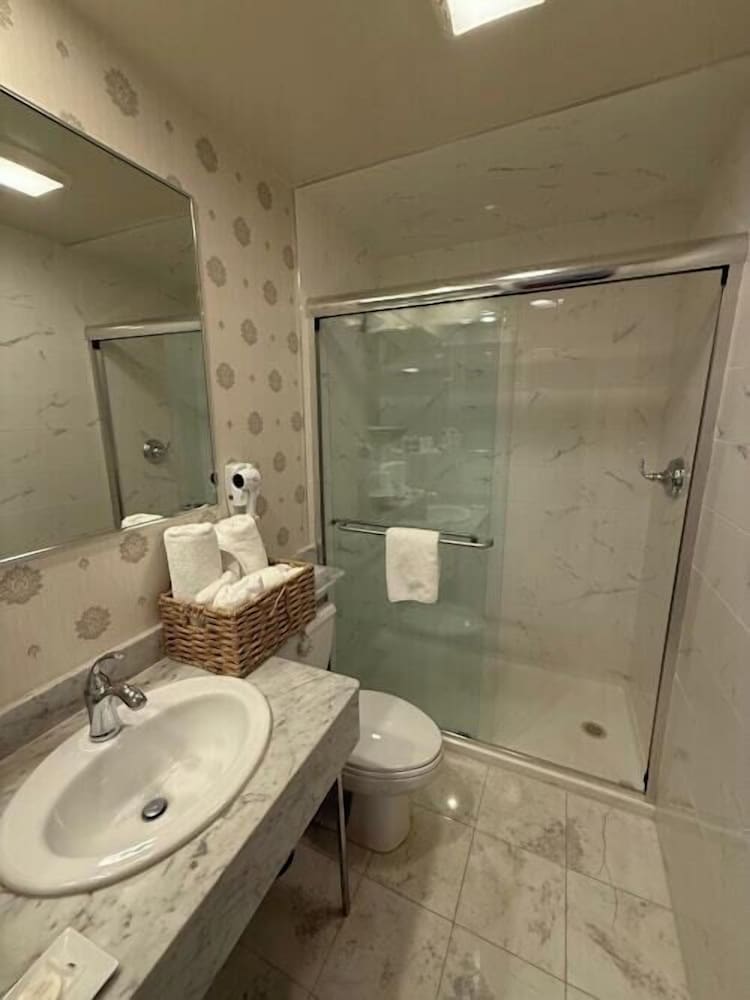 Corporate Suite - ONE QUEEN BED with Juliet Balcony - Penn's Landing Bridge View