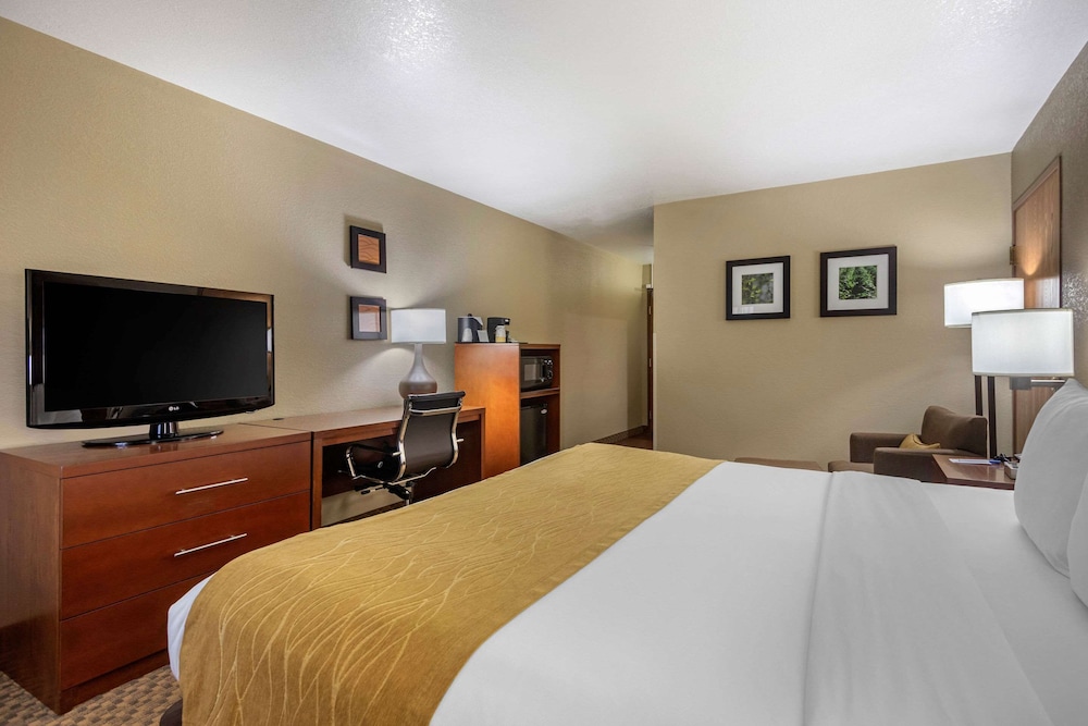 Room, Accessible, Non Smoking photo 2