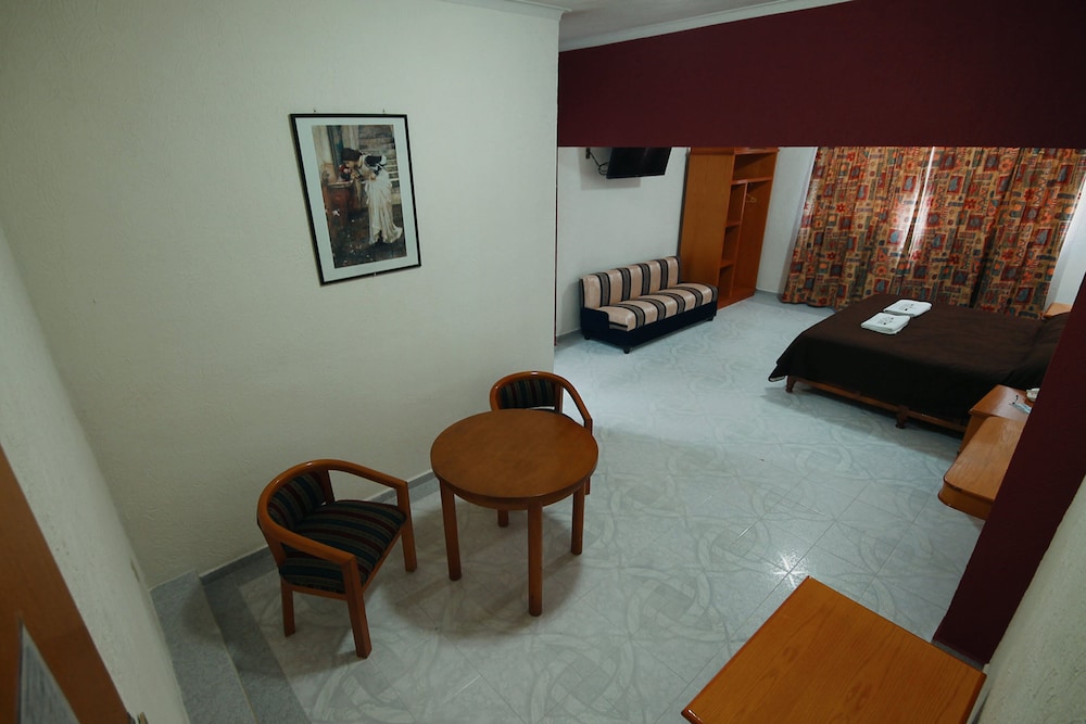 Junior Room, 1 King Bed with Sofa bed photo 3