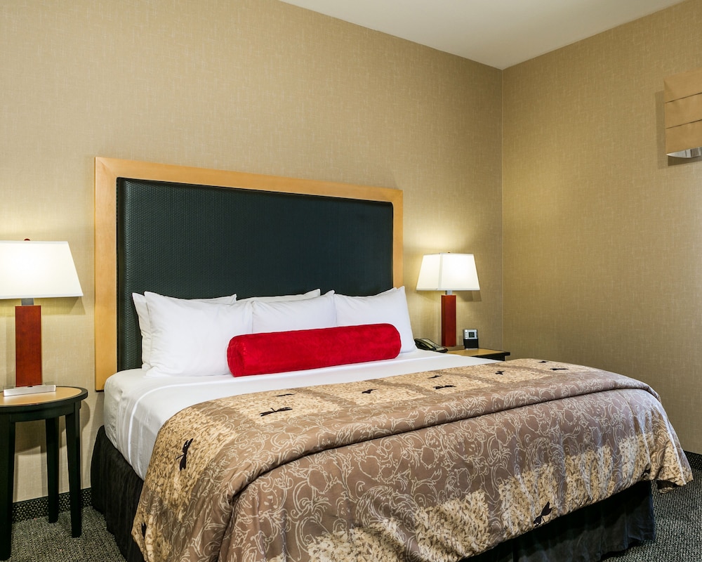Suite, Multiple Beds, Accessible, Non Smoking - Photo 8