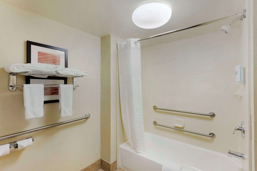 Suite, 1 King Bed with Sofa bed, Accessible, Non Smoking (Efficiency) - Photo 3