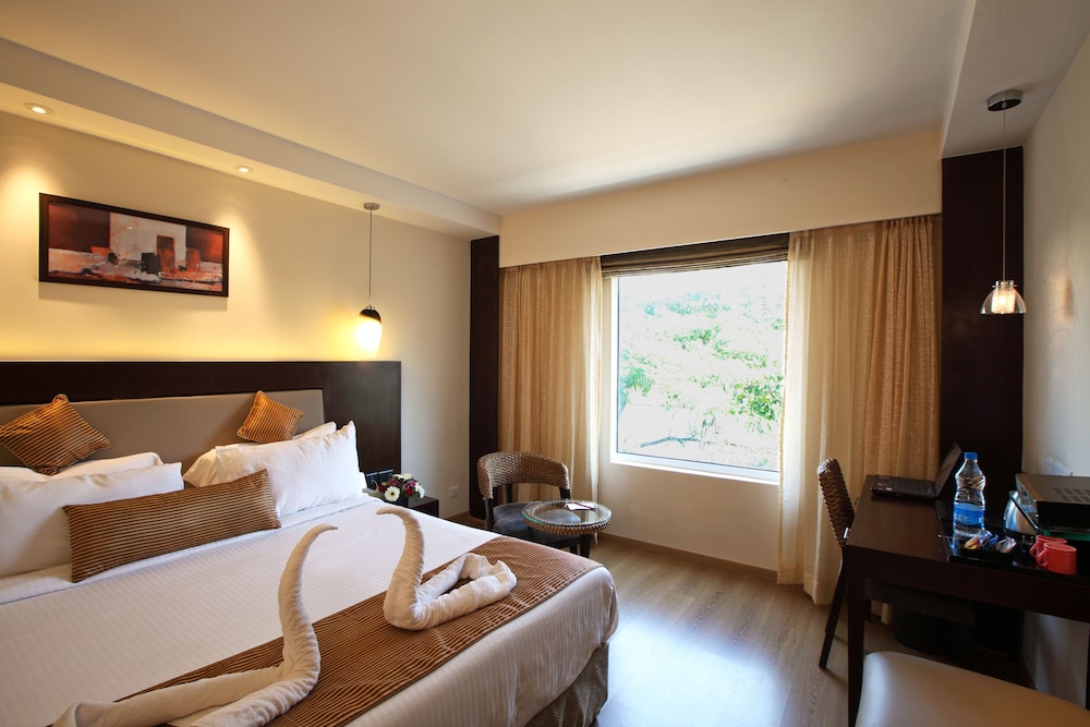 Executive Room, 1 Queen Bed photo 3