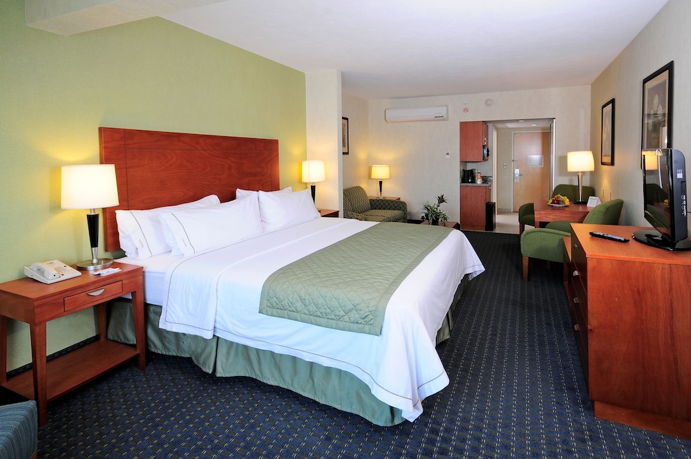 Suite, 1 King Bed - Photo 3