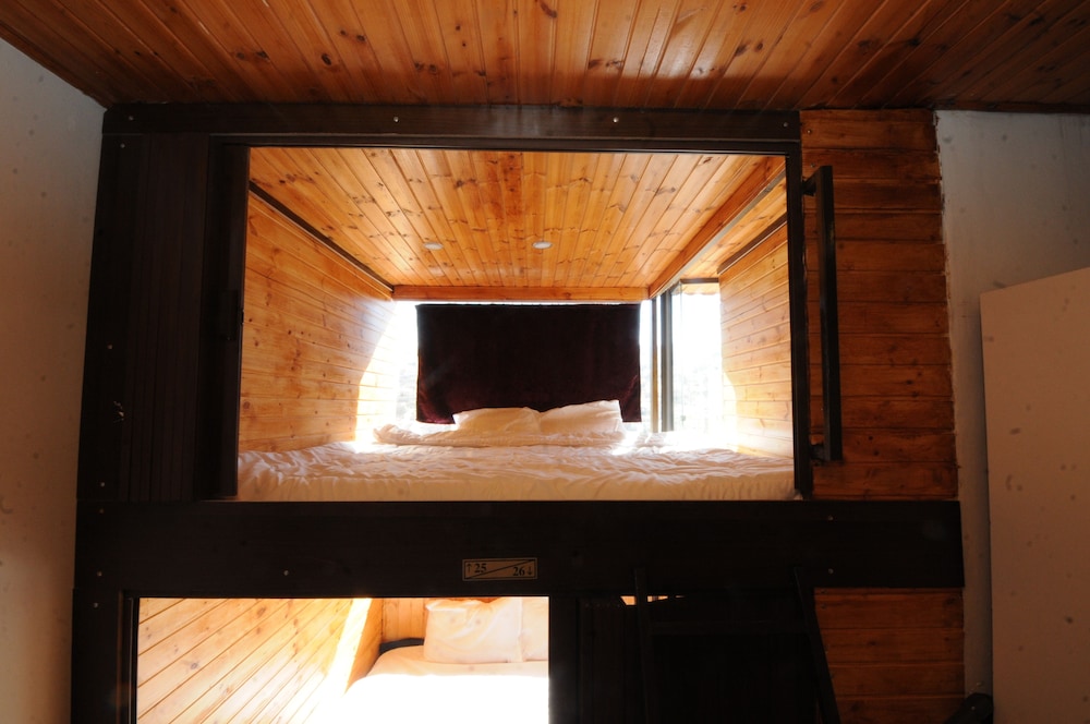 Shared Dormitory, 1 Large Twin Bed, Mountain View photo 1
