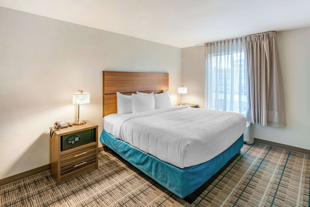 Suite, 1 King Bed with Sofa bed, Accessible, Non Smoking (Efficiency) - Photo 1