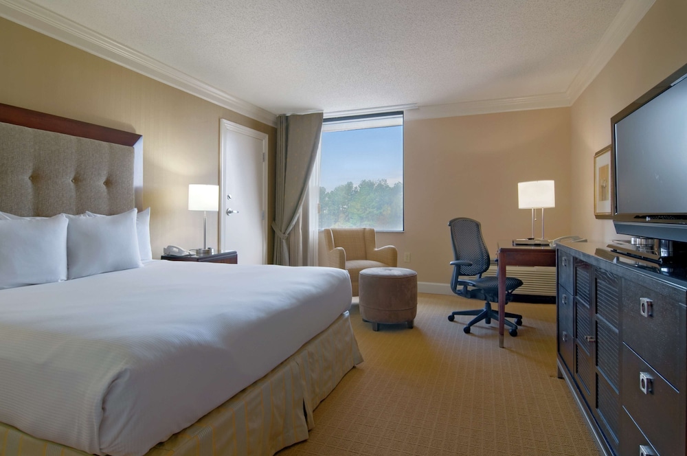 Executive Room, Accessible, Bathtub