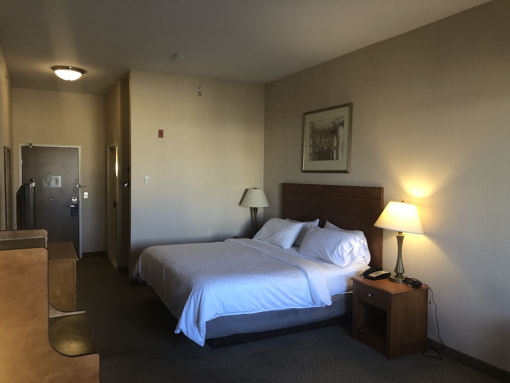 Standard Room, 1 King Bed, Microwave (Minifridge) - Photo 9
