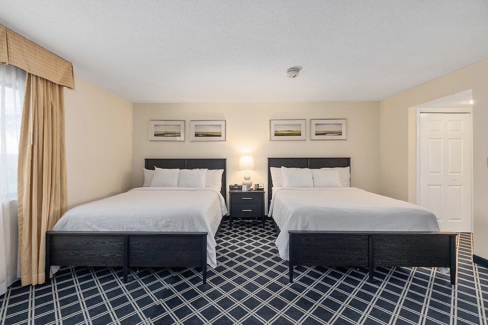 Luxury Studio Suite, Multiple Beds photo 3