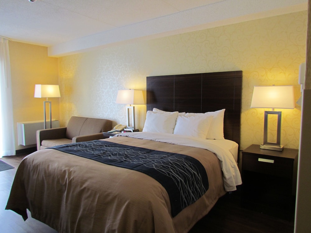 Standard Room, Non Smoking, Ground Floor (with 2 person sofabed) photo 1