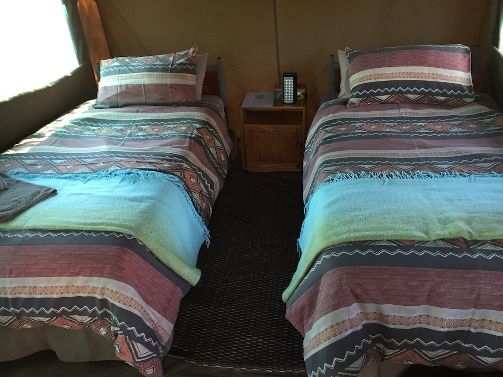 Twin Room photo 1