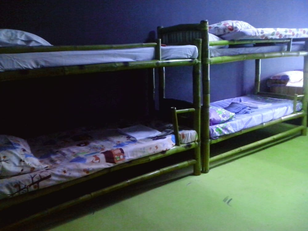 Shared Dormitory, Mixed Dorm photo 1