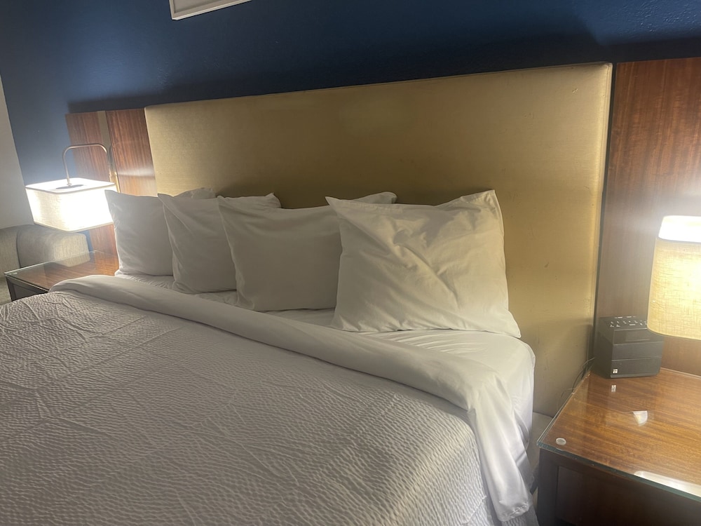 Suite, 1 King Bed, Non Smoking - Photo 2