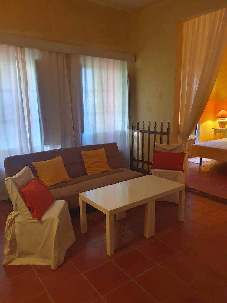 Junior Suite, Patio, Garden View