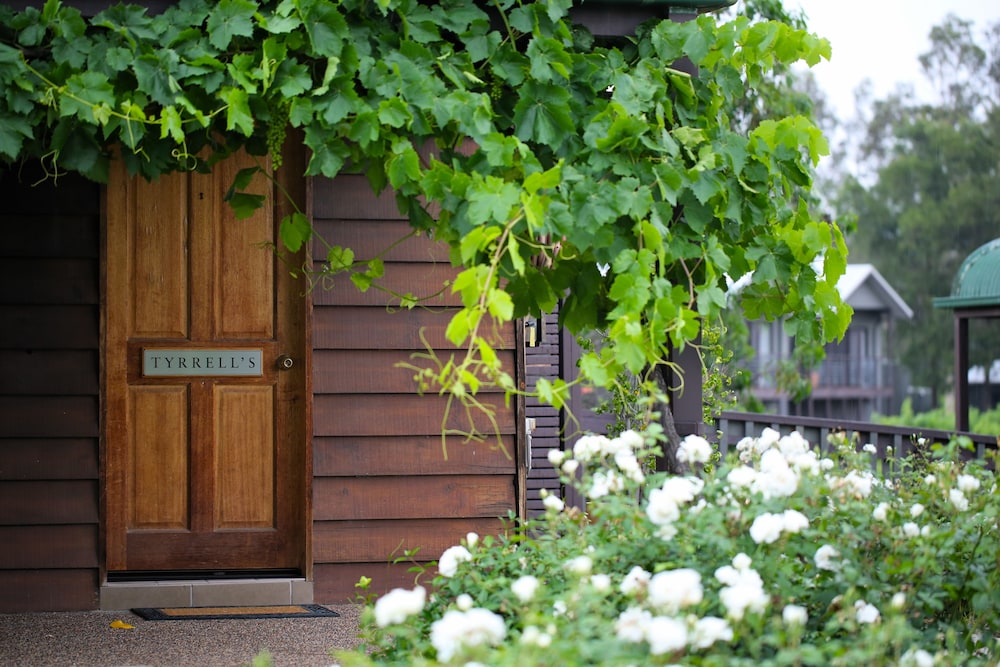 Vineyard Suite photo 2
