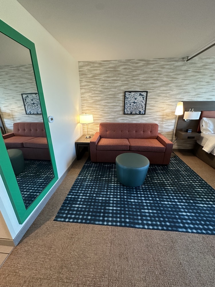 Suite, 1 King Bed, Accessible, Bathtub