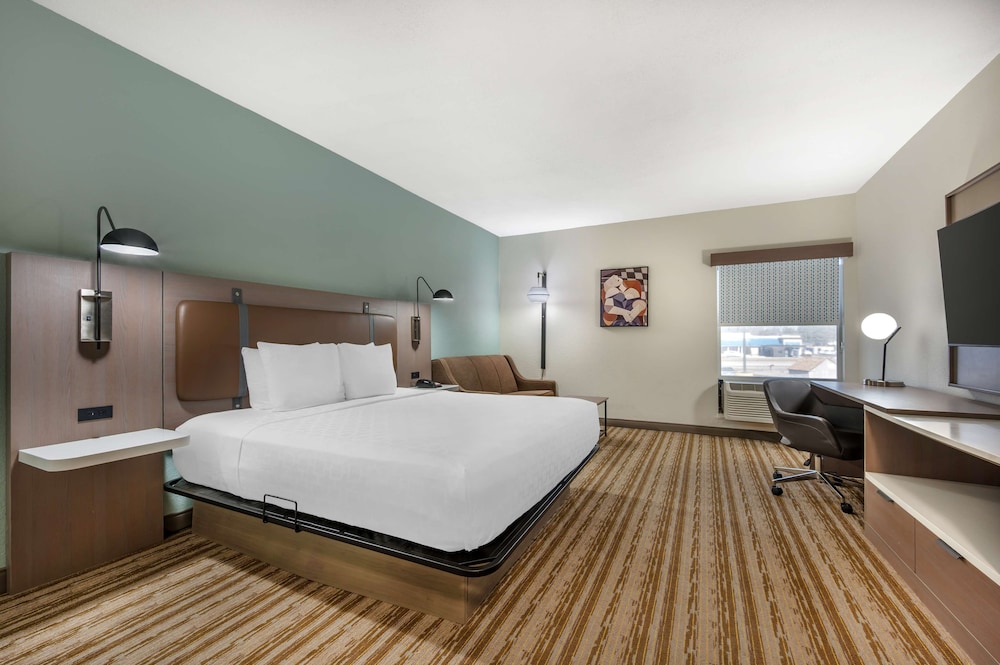 Standard Room, 1 King Bed, Accessible, Refrigerator & Microwave (with Sofabed) photo 1