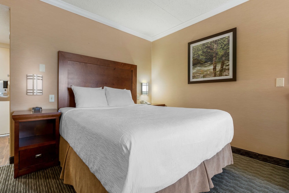 Standard Room, 1 Queen Bed, Non Smoking, Refrigerator & Microwave (2nd Floor;with Sofabed)