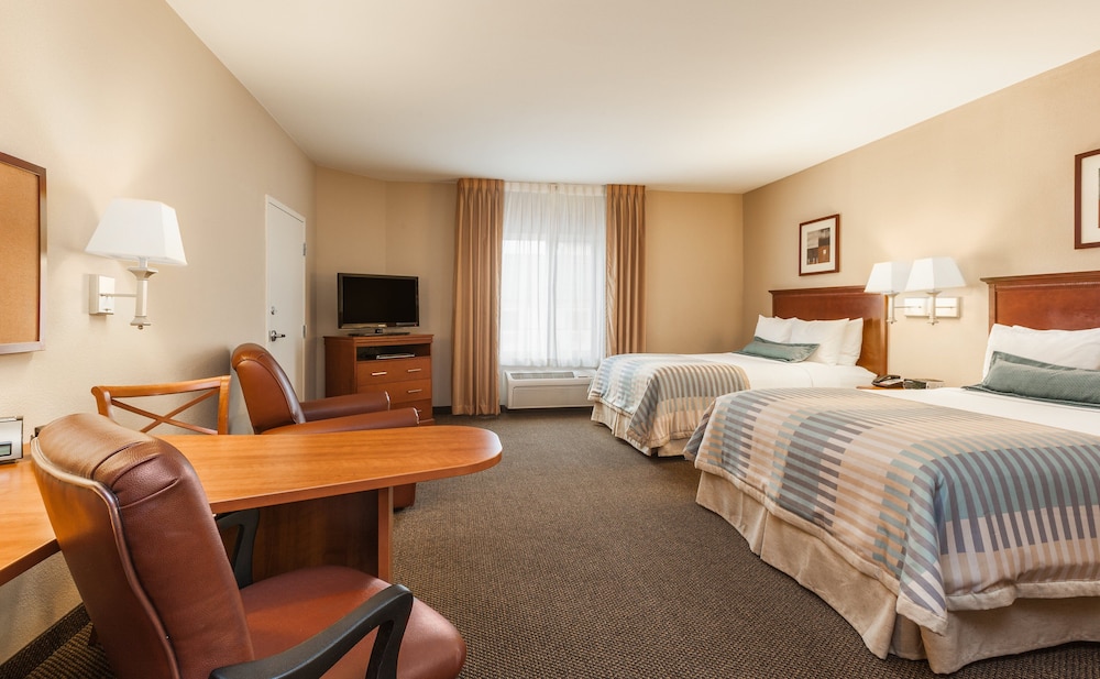 Suite, 1 Bedroom (Living Area) - Photo 1