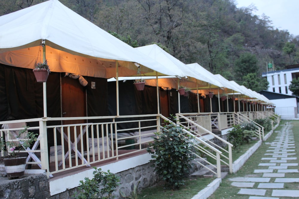 Luxury Tent, 2 Double Beds photo 2