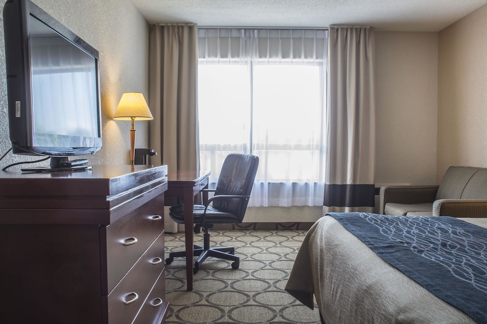 Standard Room, 1 Queen Bed, Non Smoking - Photo 4