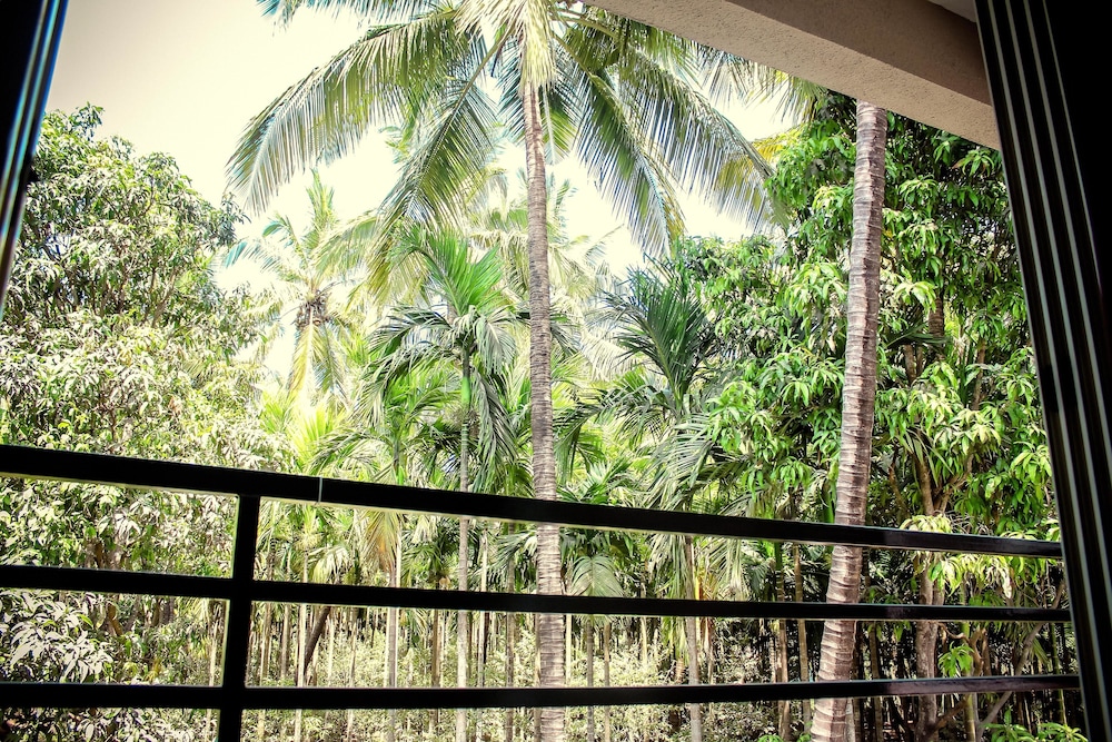 Standard Room, 1 King Bed, Garden View photo 2