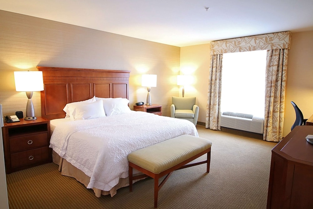 Room, 1 King Bed, Accessible, Non Smoking photo 3