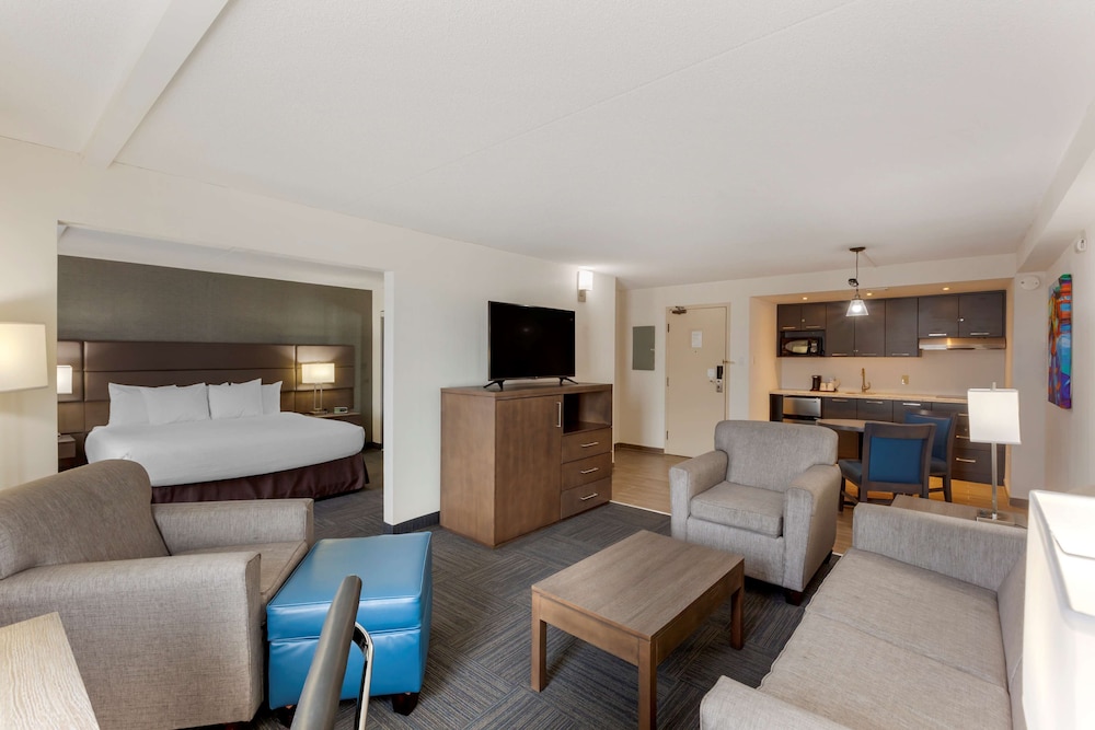 Suite, 1 King Bed, Non Smoking, Kitchenette (with Sofabed)