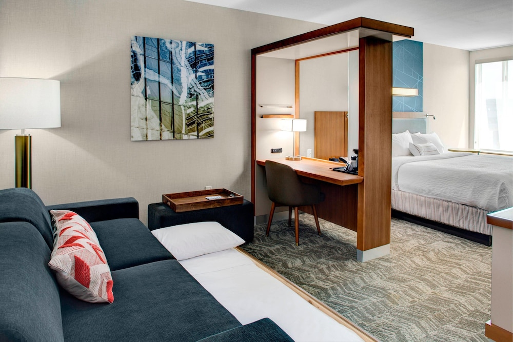 Suite, 1 King Bed with Sofa bed (Mobility/Hearing Accessible, Tub) photo 2