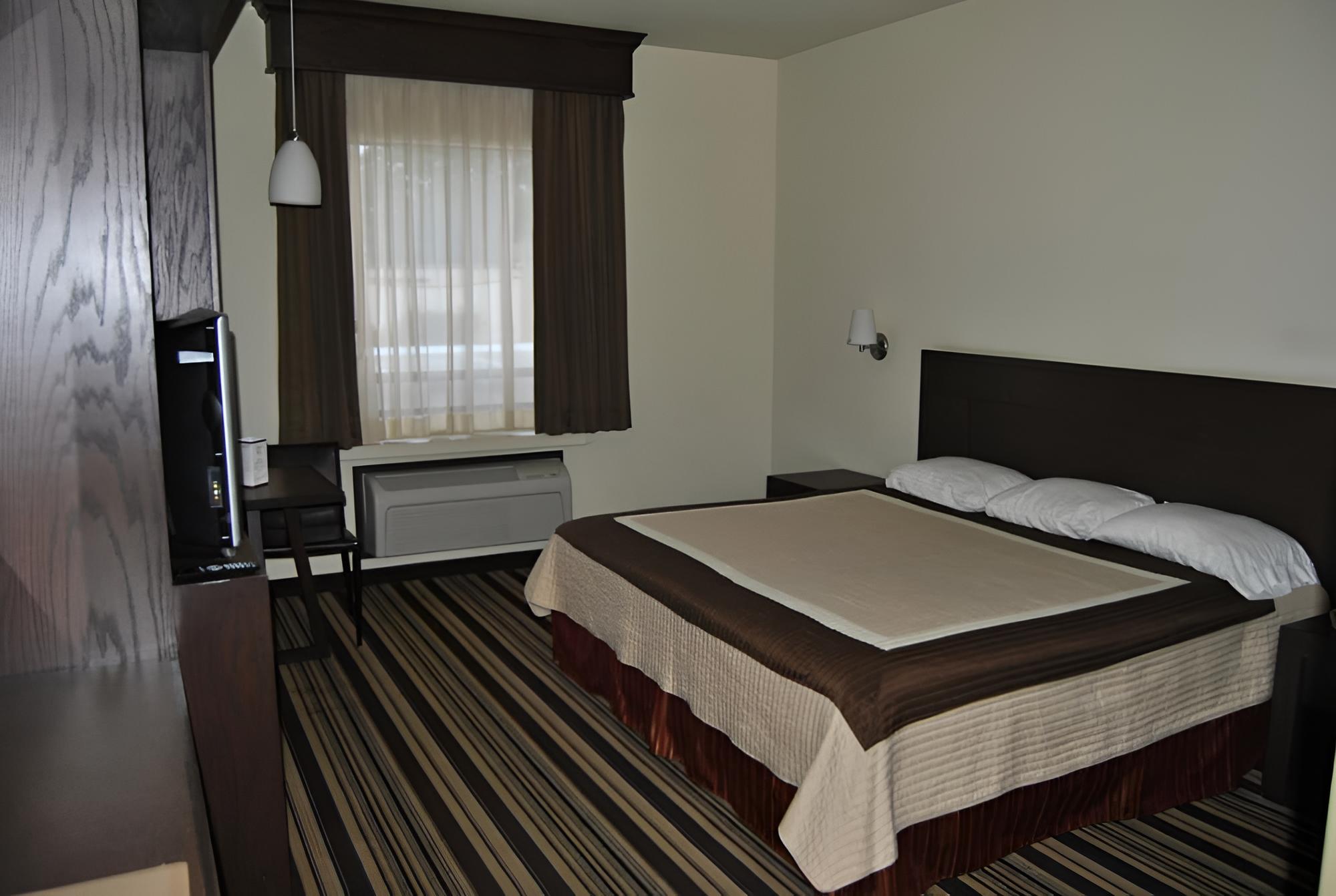 Single Room, 1 King Bed photo 3