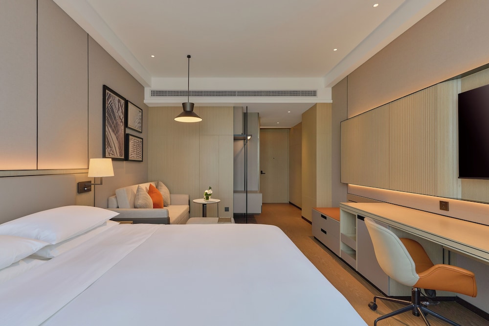 Room, 1 King Bed with Sofa bed