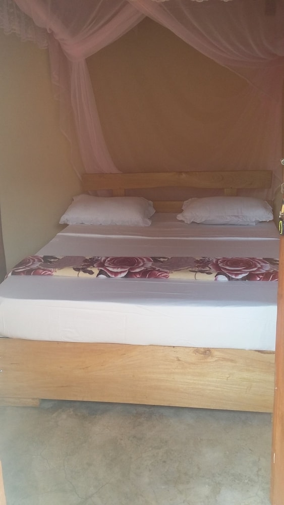 Twin Room photo 3