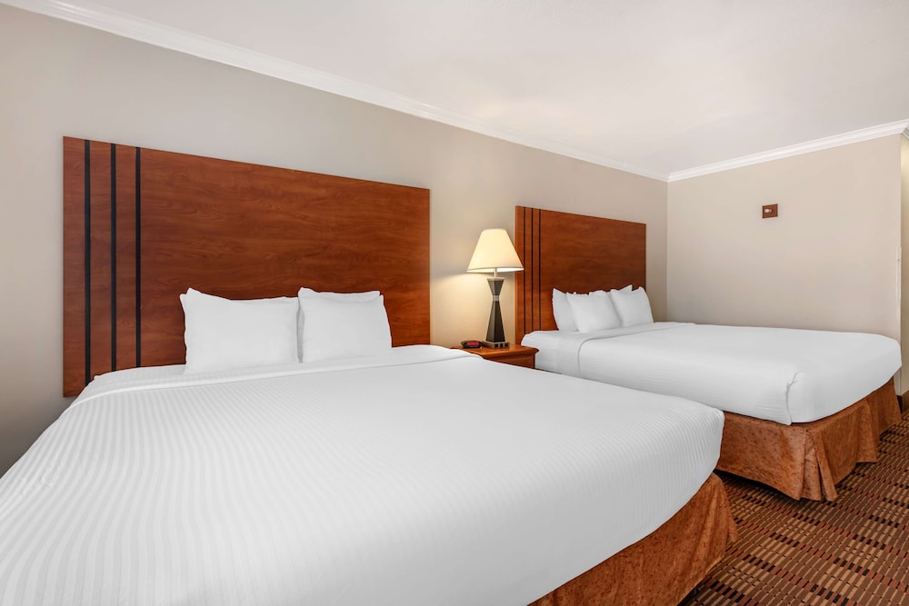 Standard Room, Multiple Beds, Non Smoking, Refrigerator & Microwave - Photo 4
