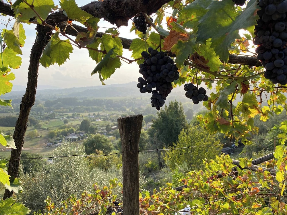 Hillside Home With Fantastic View - 7 Beds - Only 1h From Rome, Fotografia 32