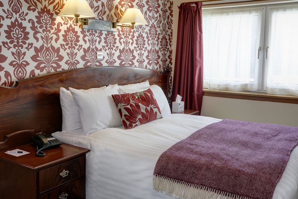 Standard Room, 1 King Bed, Non Smoking, Mountain View photo 2