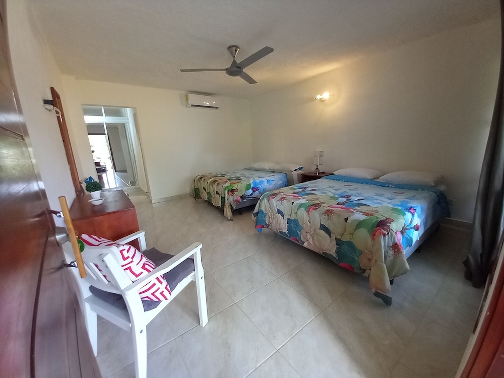 Superior Room photo 2