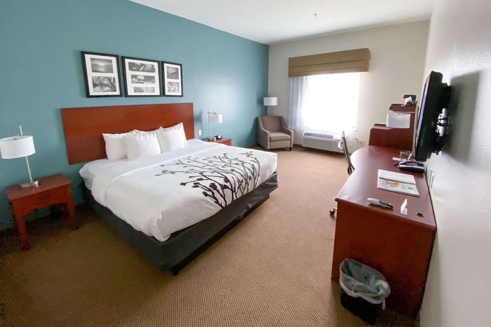 Suite - Photo 2