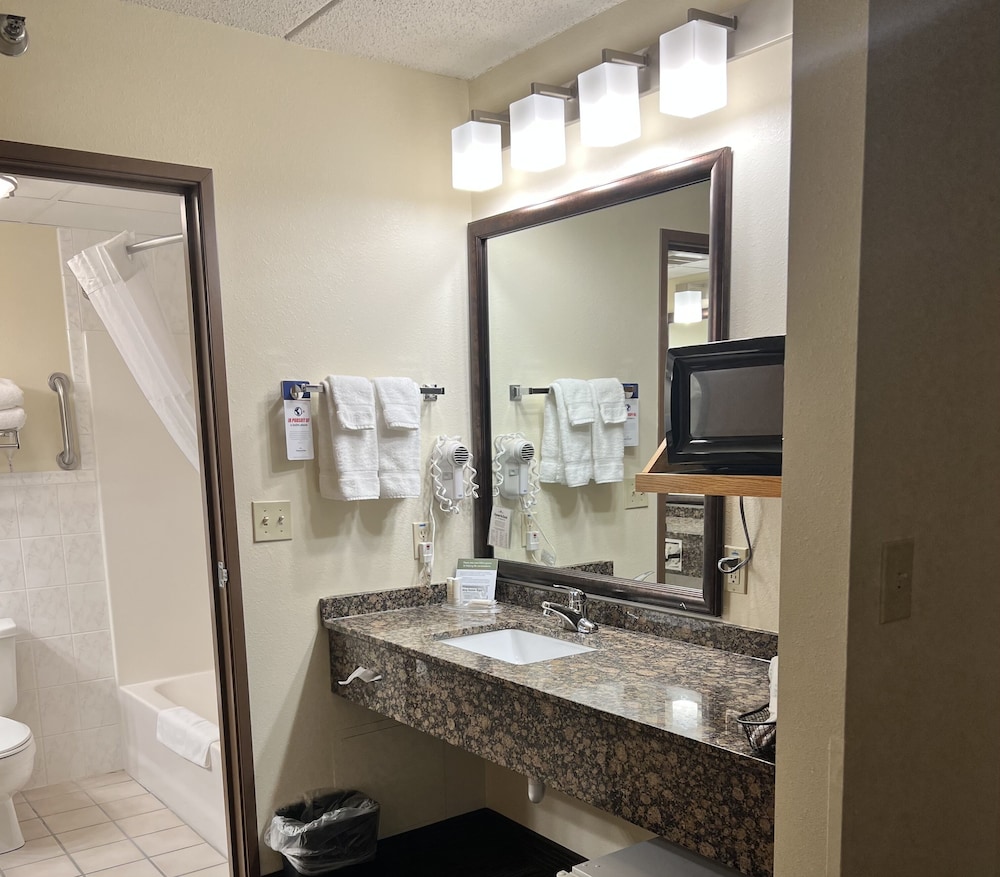 Superior Suite, 1 King Bed, Non Smoking (One-Bedroom) photo 2
