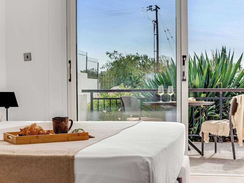 Studio, Multiple Bedrooms, Terrace photo 3